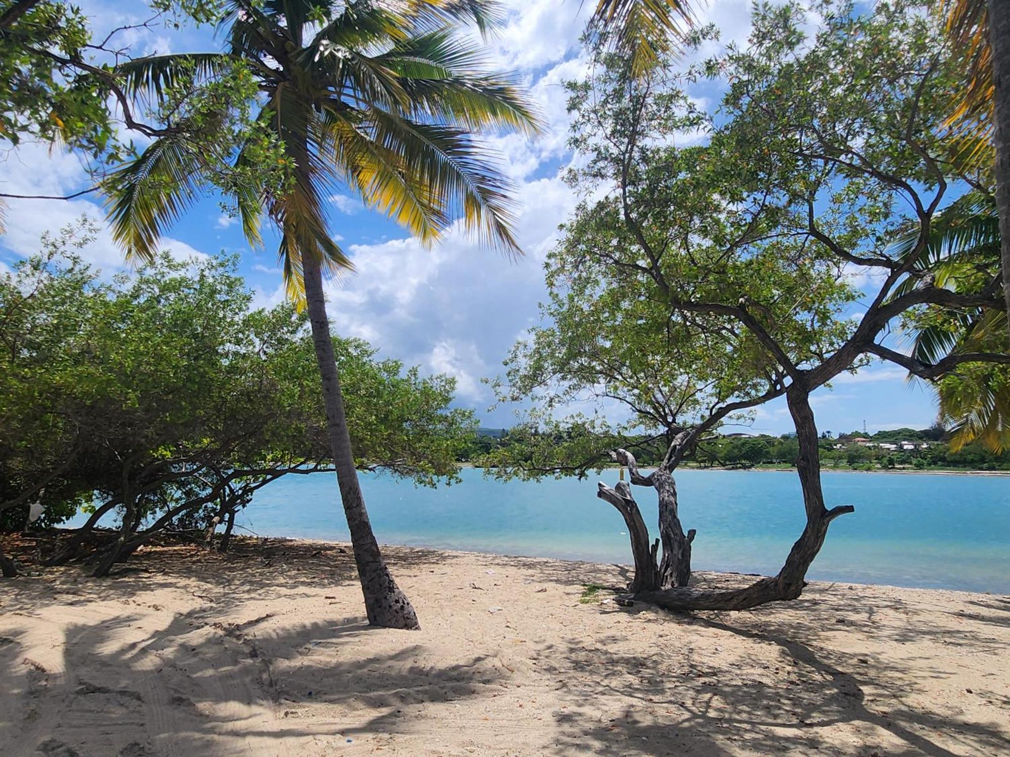 Casita Linda Larimar - 2Br Apartment With Rooftop, Bay Views, Fast Wifi, Near Beach In Barahona Exteriér fotografie